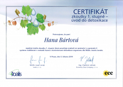 certifikát_uvod_do_detoxikace_png
