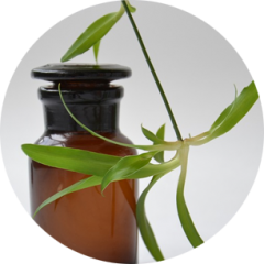 KREMELINA – Diatomaceous Earth (DE) – DIATOMICKÁ ZEMINA